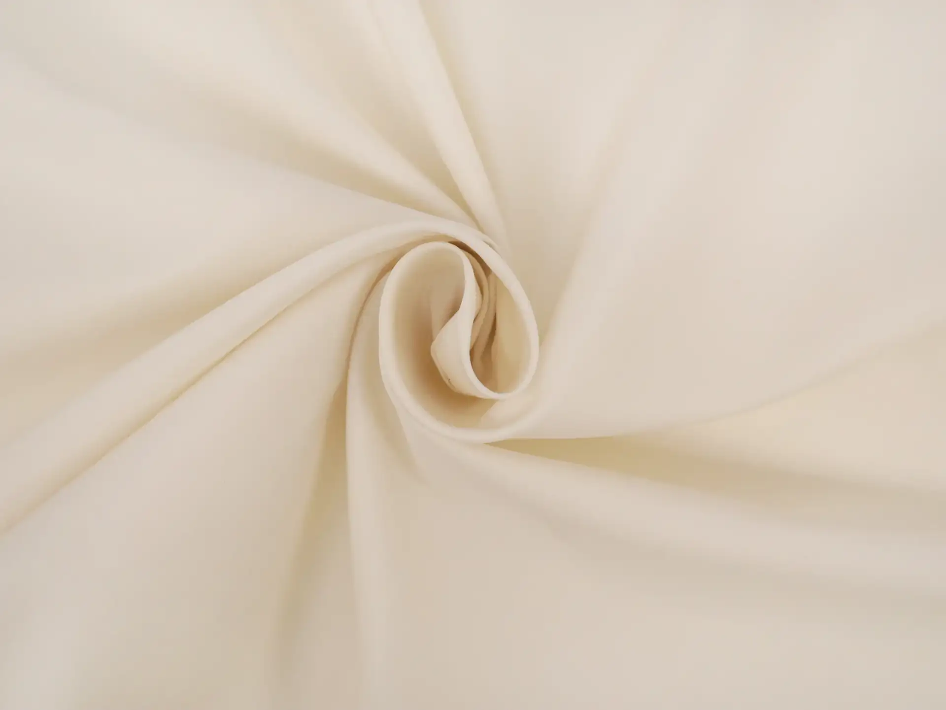 Sea Island Cotton Broadcloth in Ecru