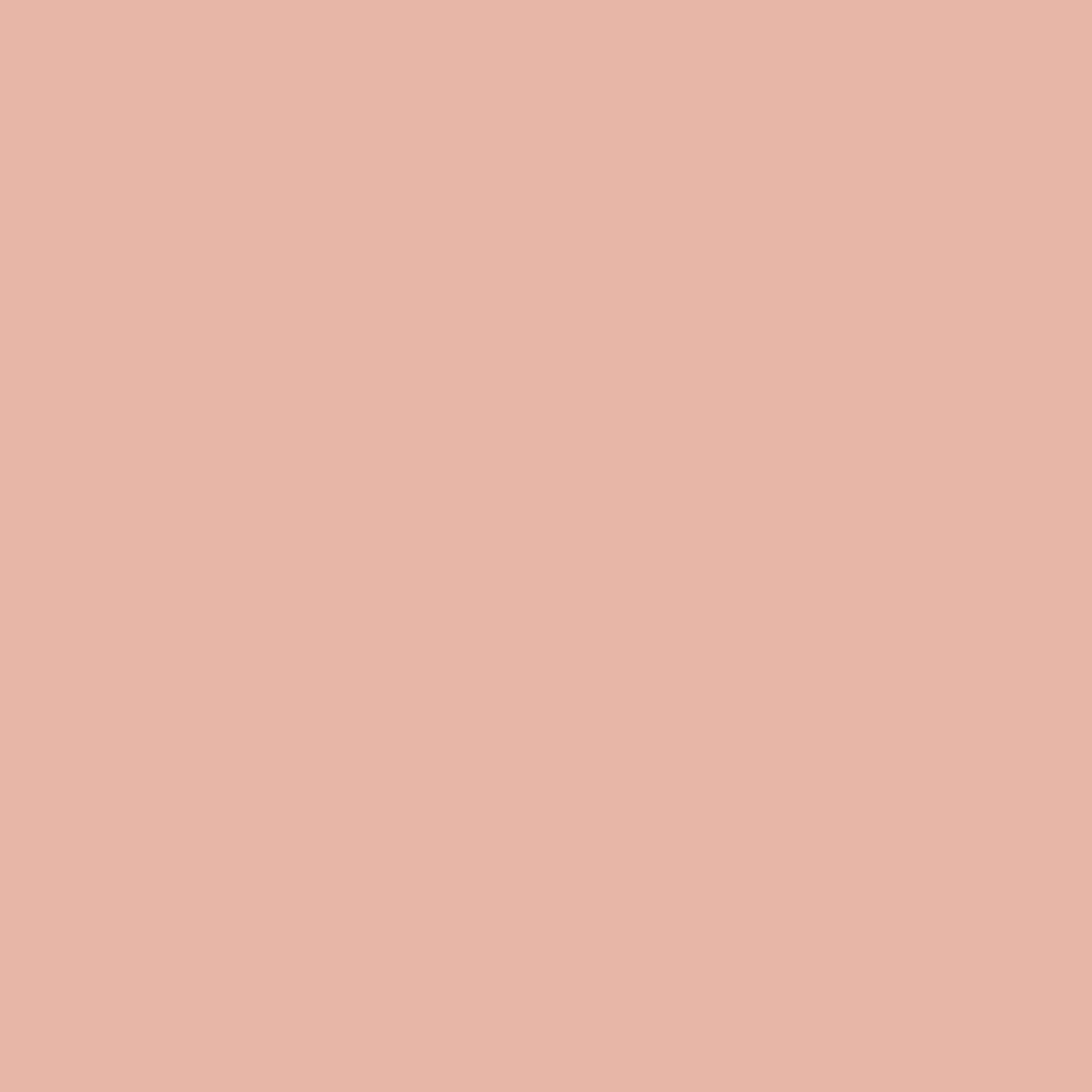  Silk Double Georgette in Blush