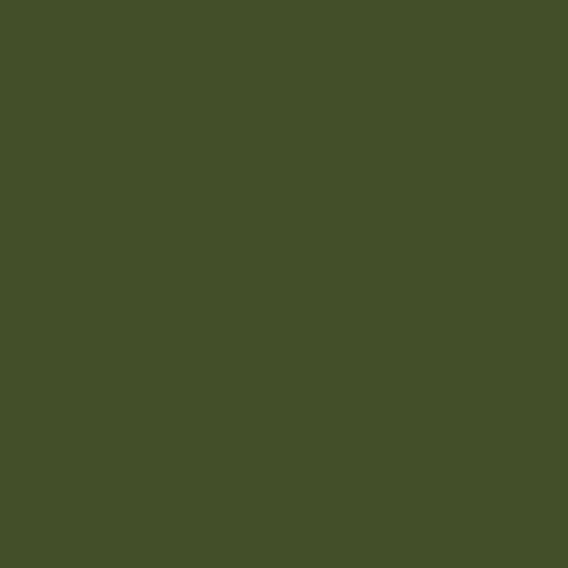 Silk Double Georgette in Avocado 