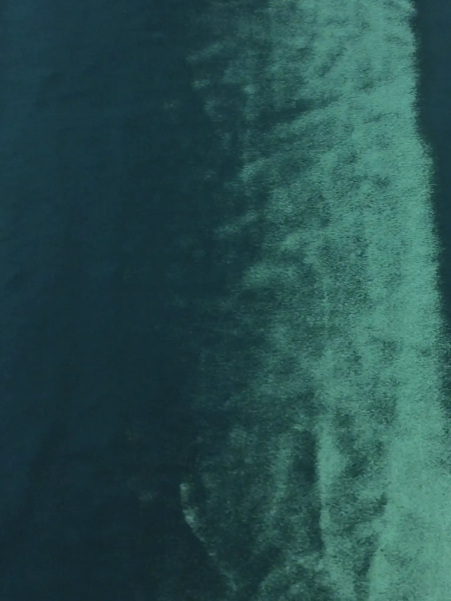 Silk and Rayon Panne' Velvet in Hunter Green