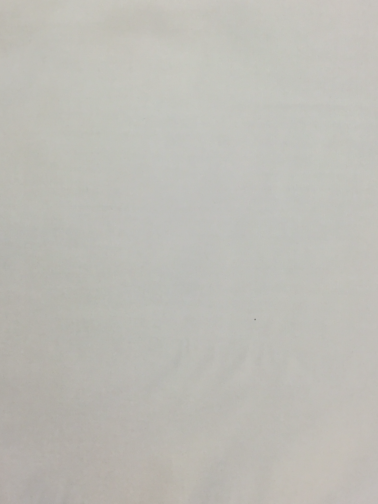 Polyester "Fuji Silk" Lining in White
