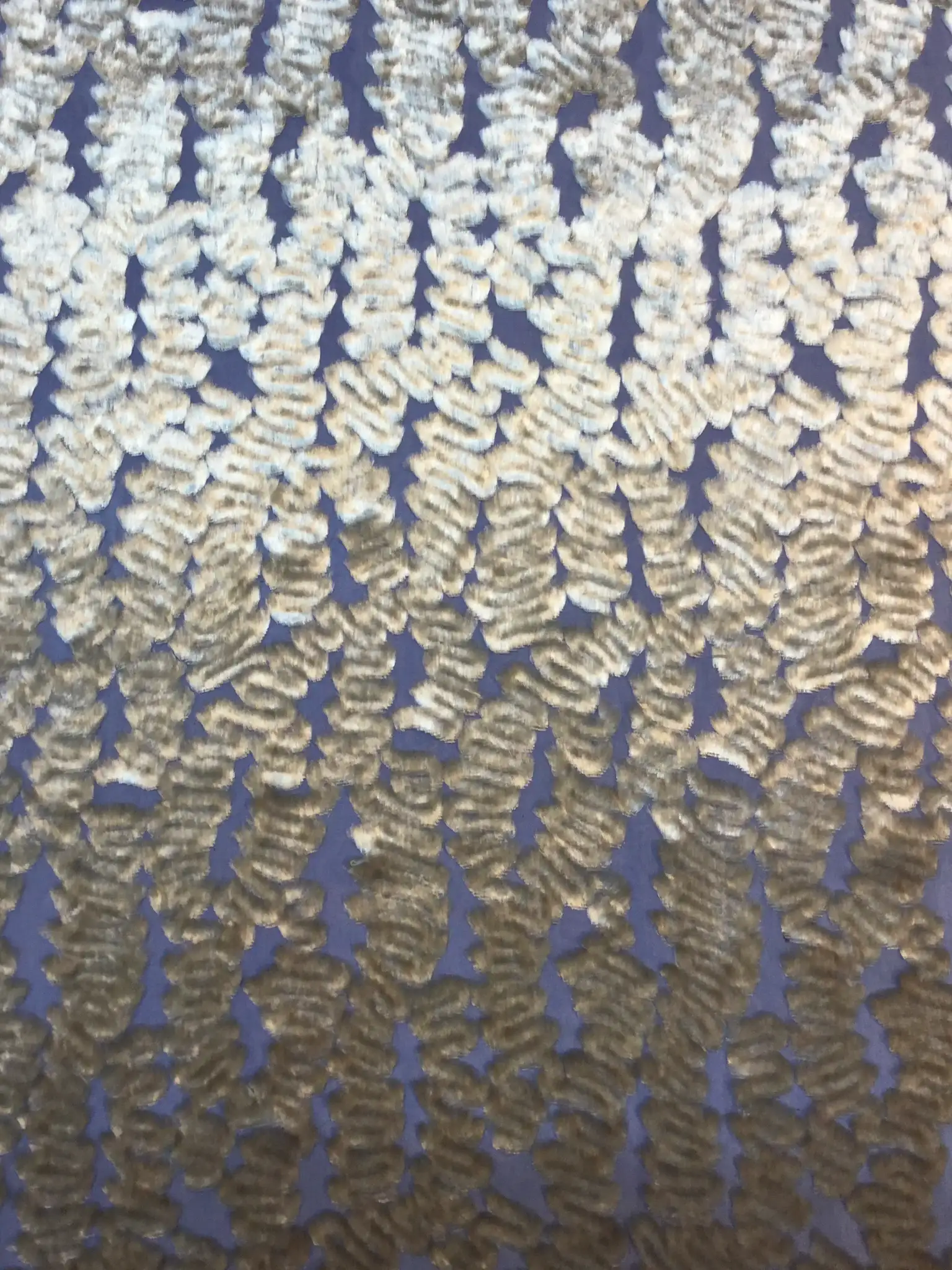 Silk Rayon Burn Out Velvet