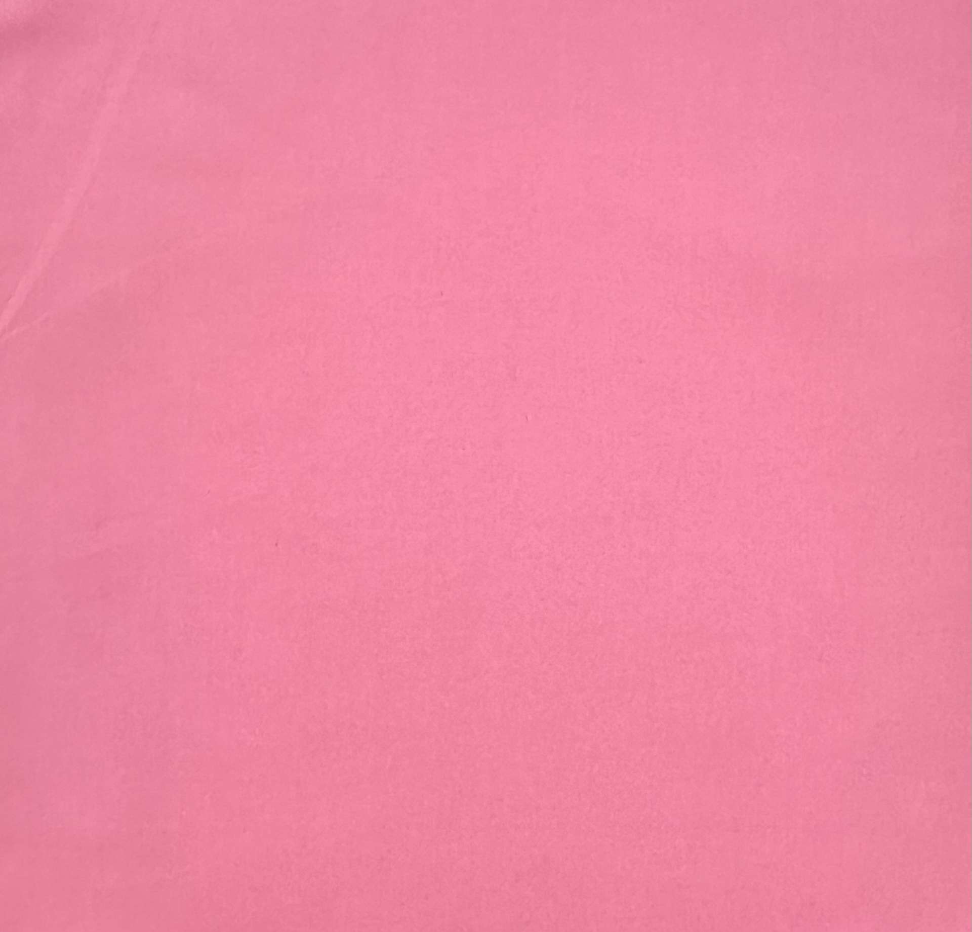 Extra Wide Kona Cotton in Candy Pink