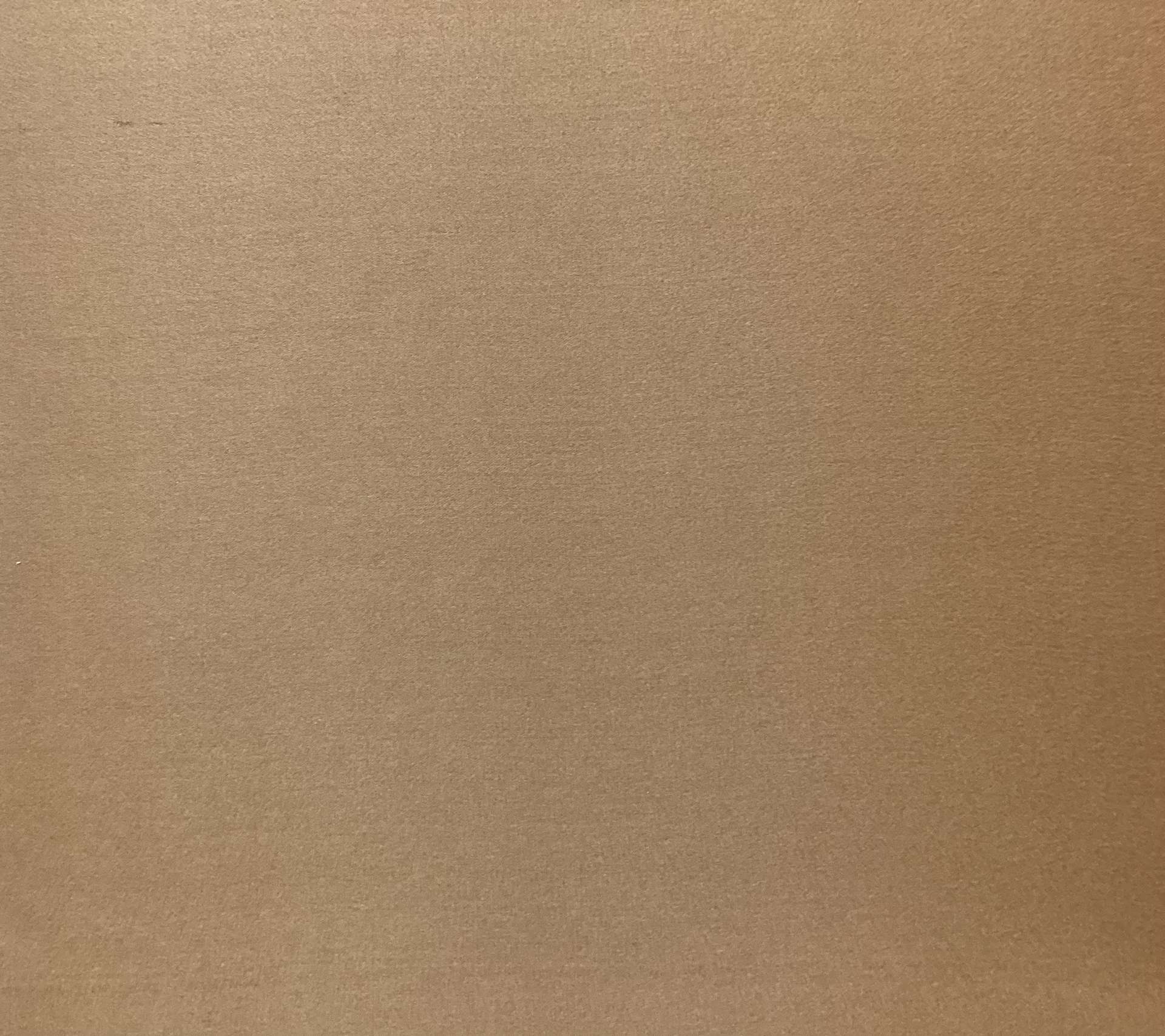 100% Silk Sueded Charmeuse In Cappuccino 