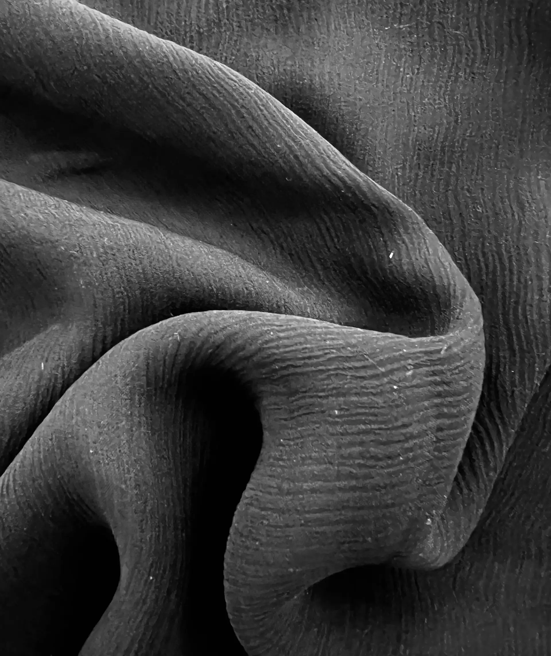Crinkle Silk Chiffon in Black 
