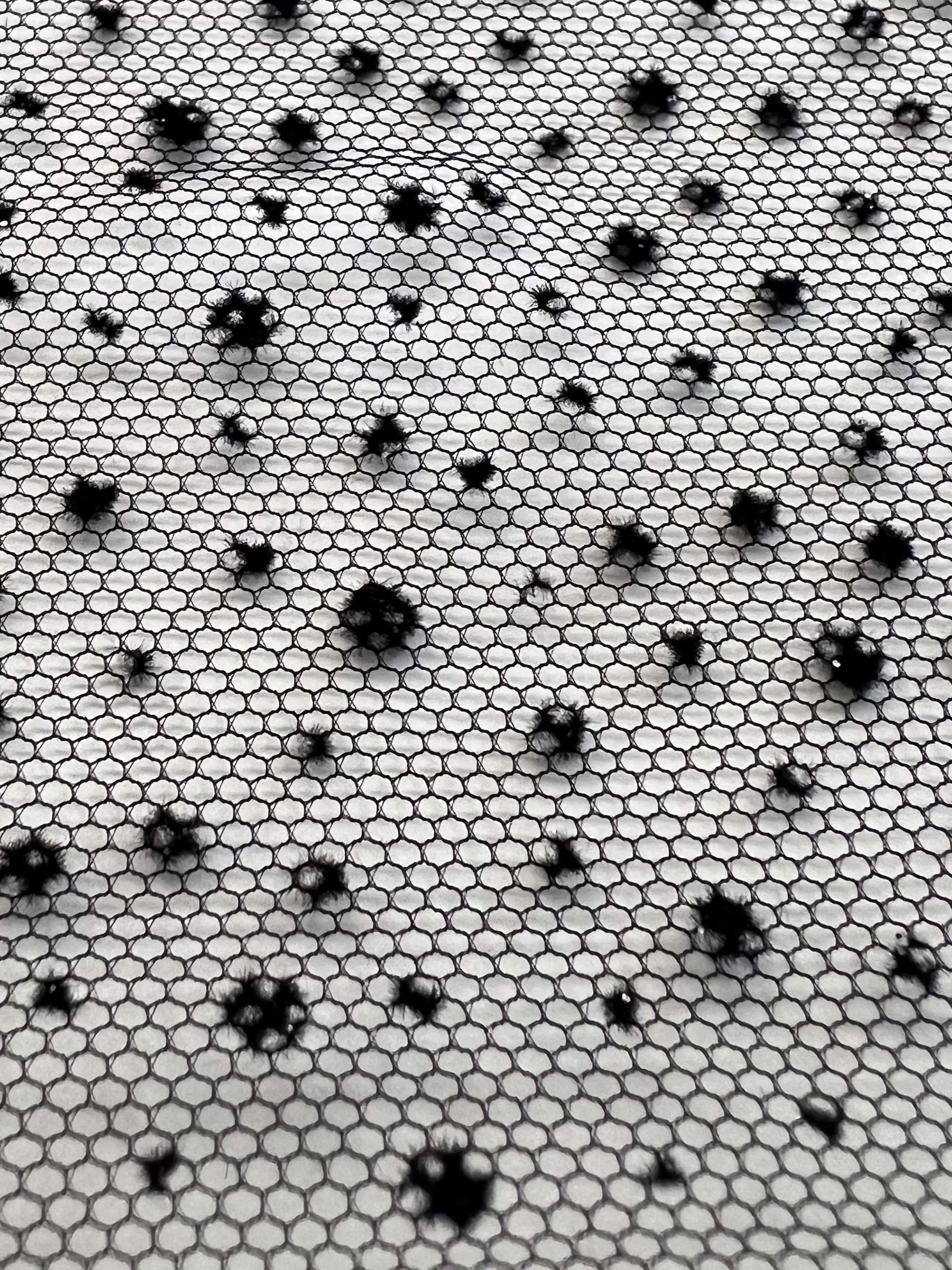 Micro Flocked & Glittered Nylon Tulle in Black on Black