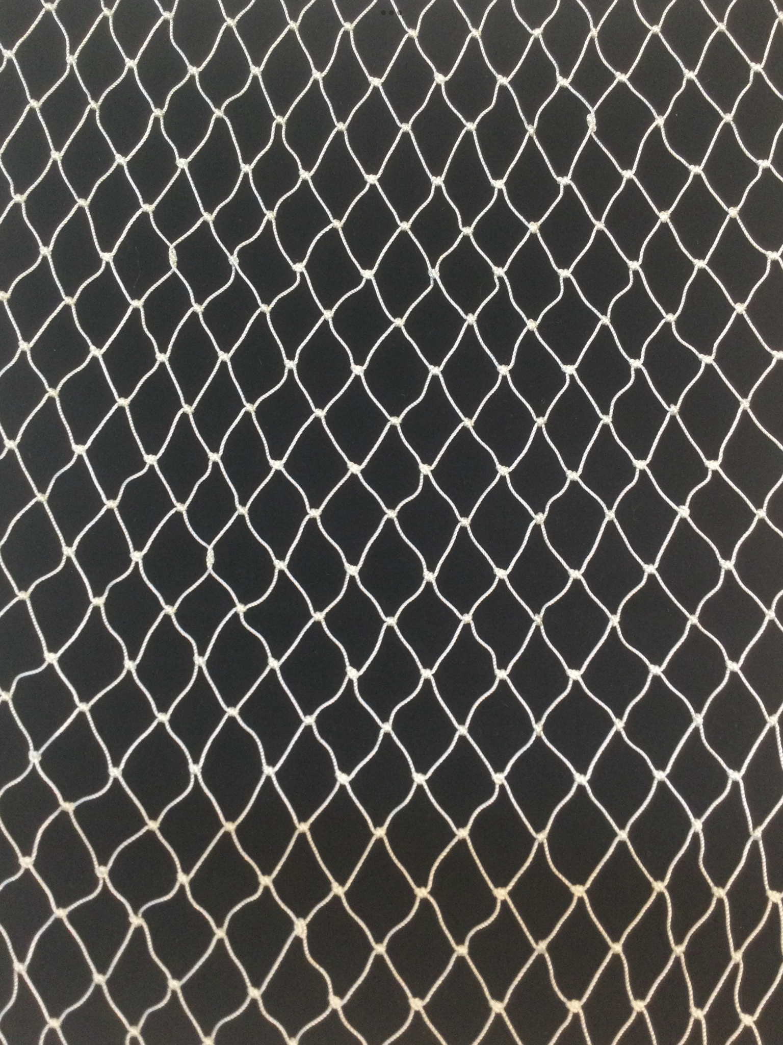 Fishnet in Ecru