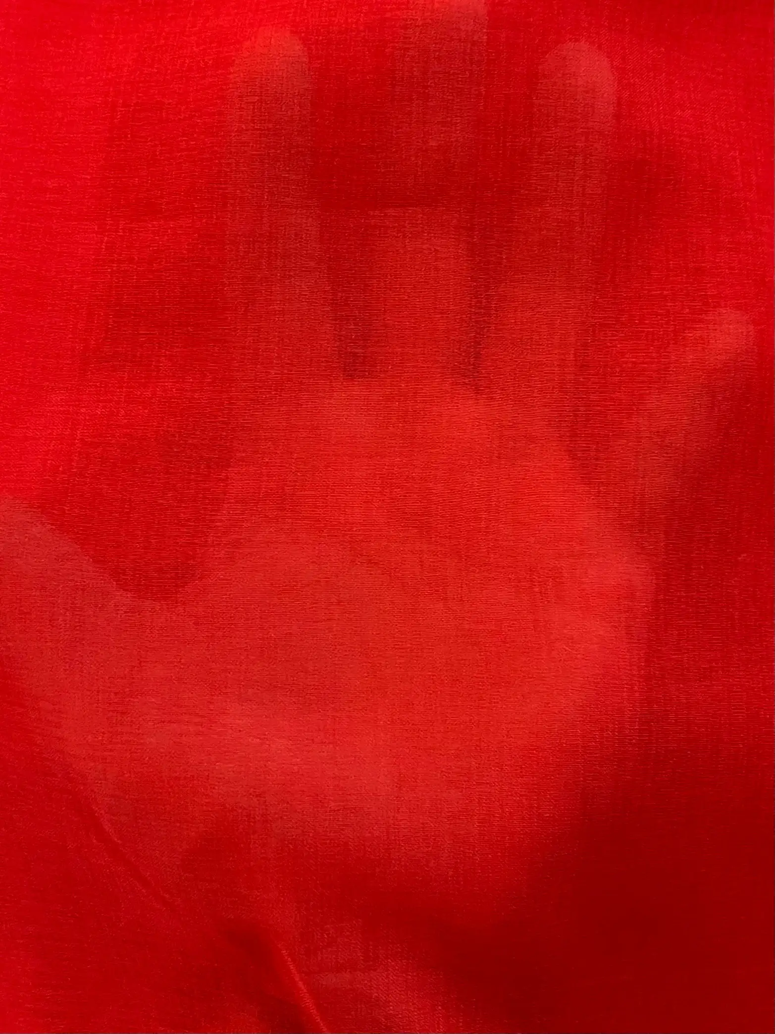 Japanese Polyester Gauze Chiffon in Red