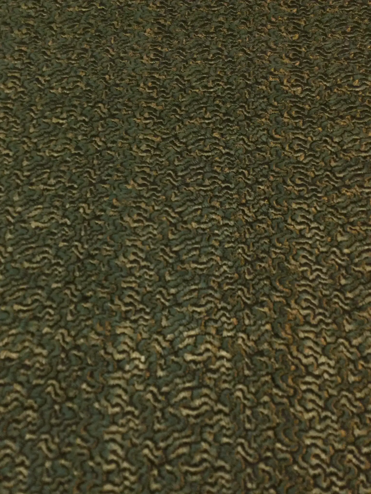 Embroidered Chiffon in an Astrakhan Pattern in Moss