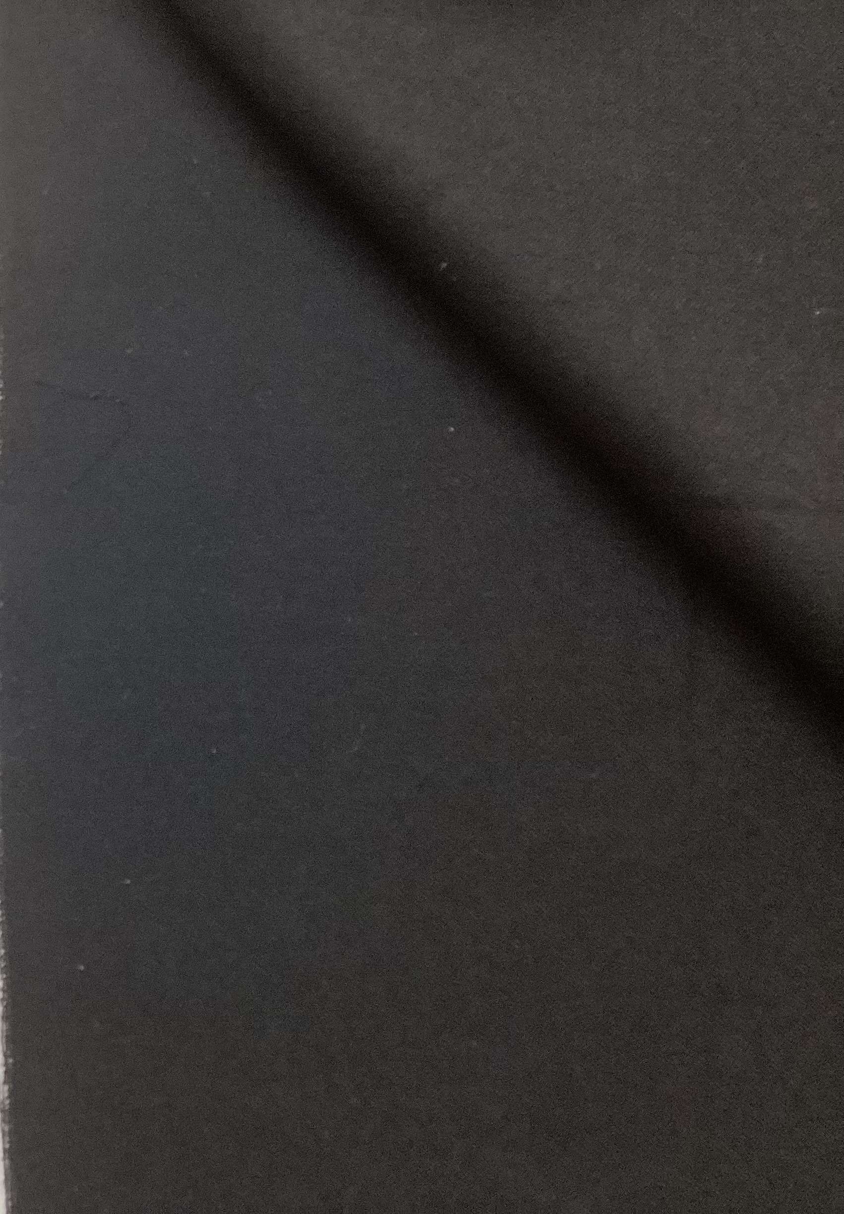 100% Wool Flannel In Onyx