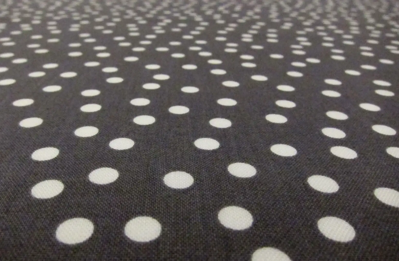 Cotton Broadcloth Print2