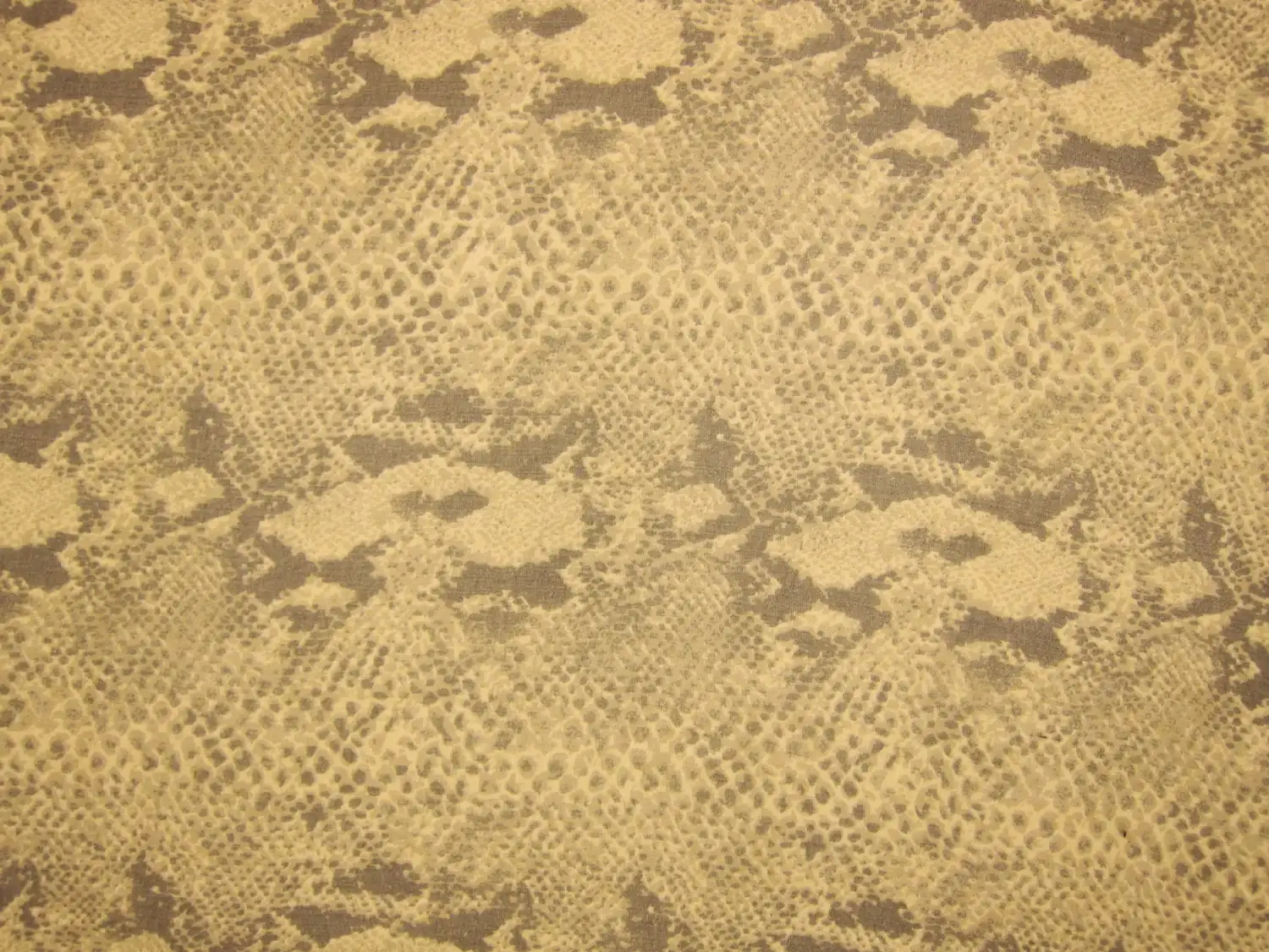 Sheer Printed Silks