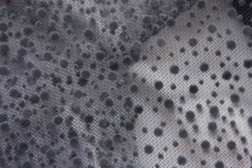 Flocking on Tulle3