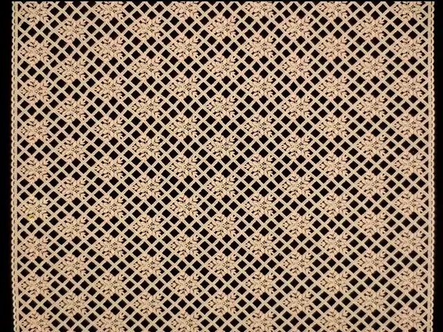 Guipure Lace3