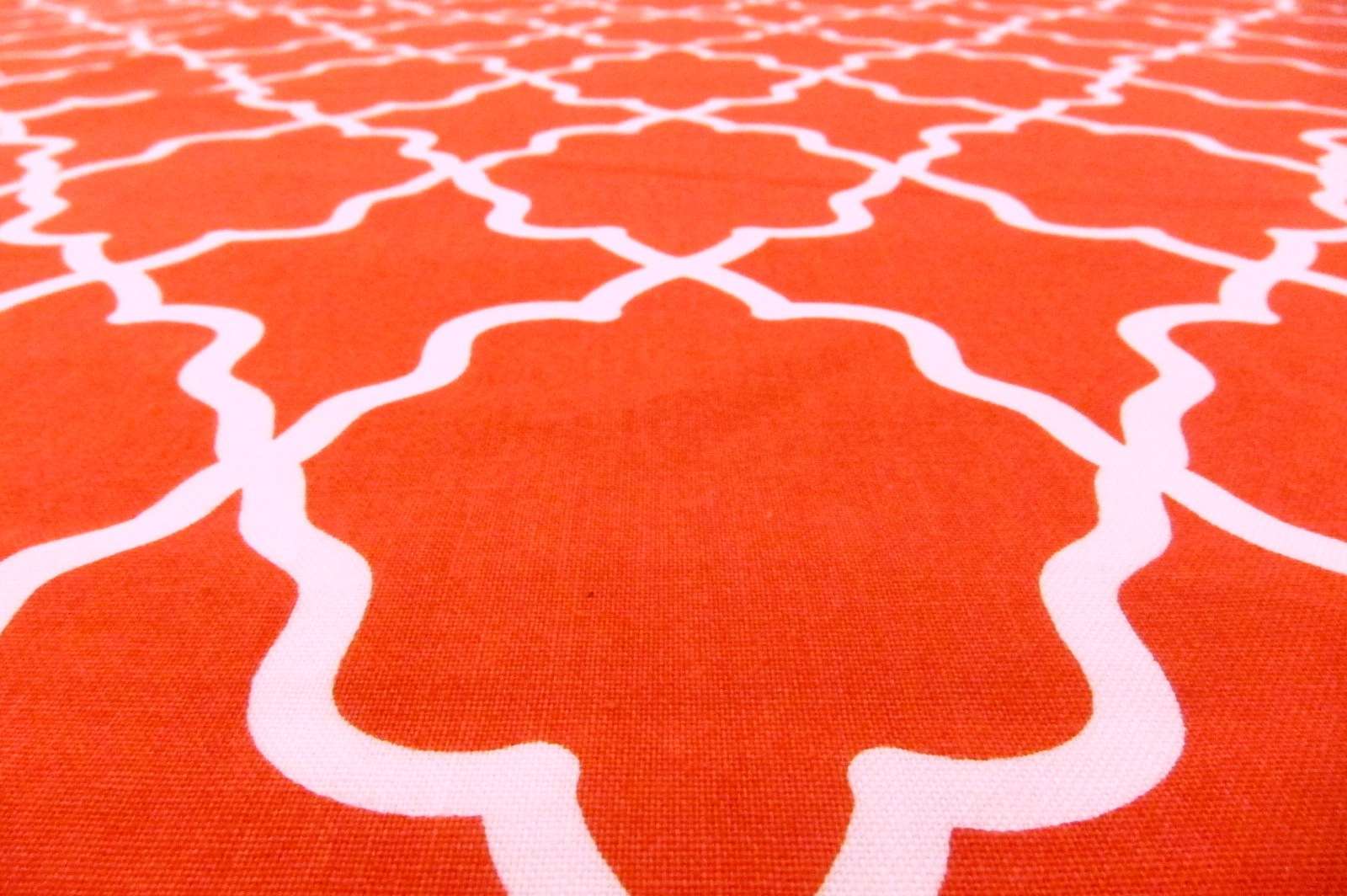 Cotton Broadcloth Print2