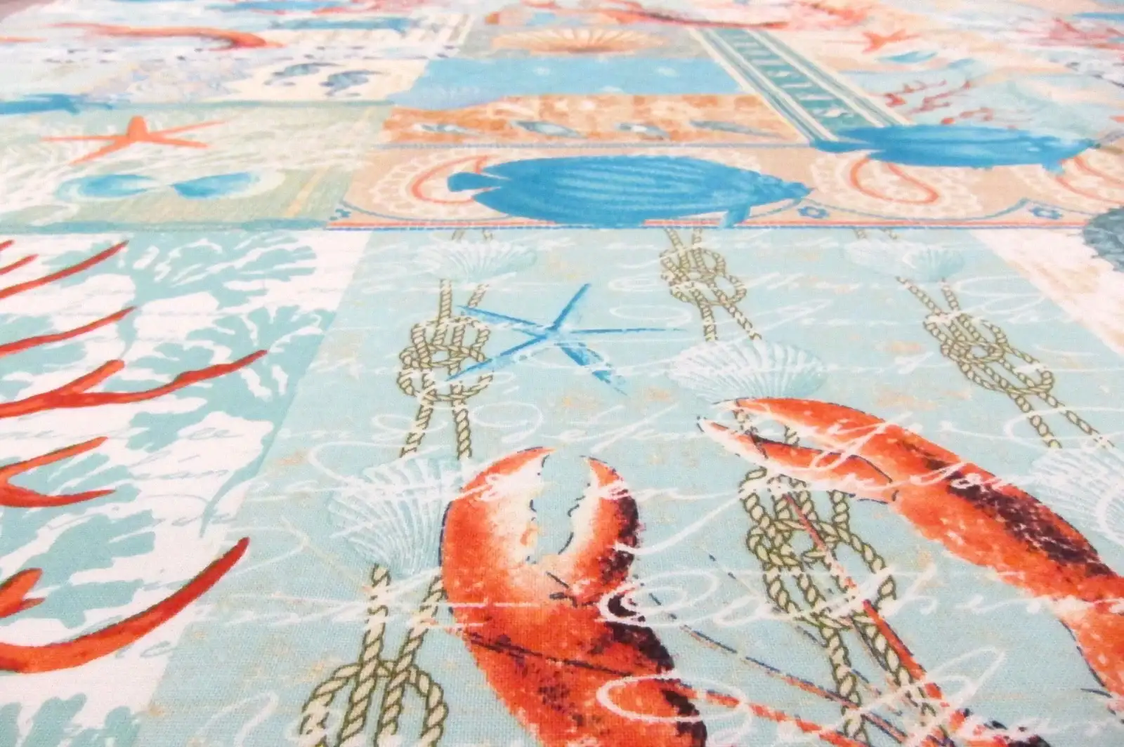 Cotton Broadcloth Print2