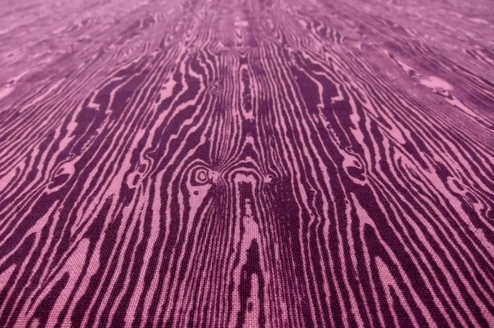 Cotton Broadcloth Print2