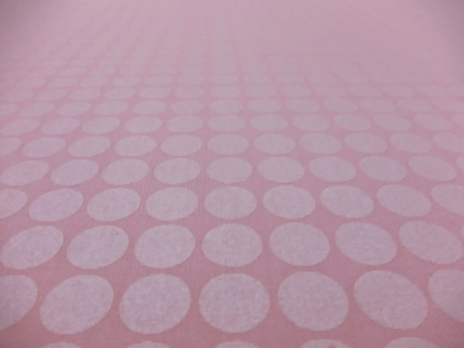 Cotton Broadcloth Print2