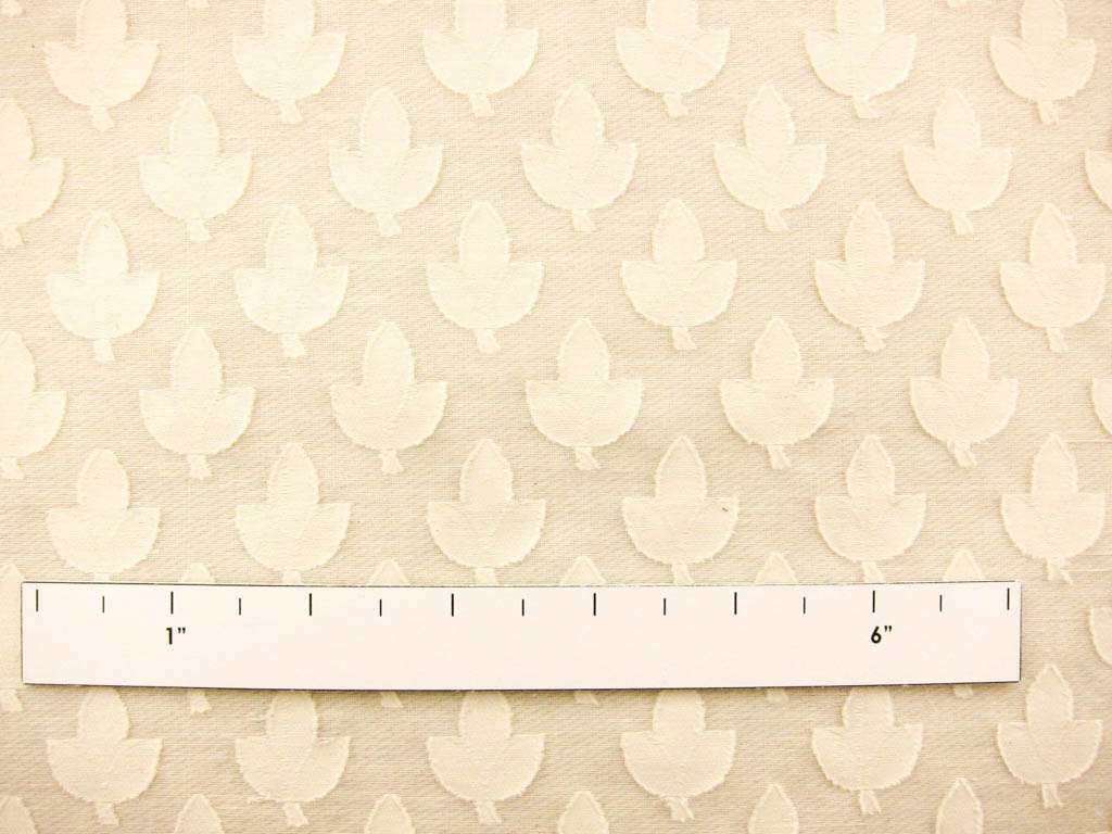 Cotton Fil Coupe1