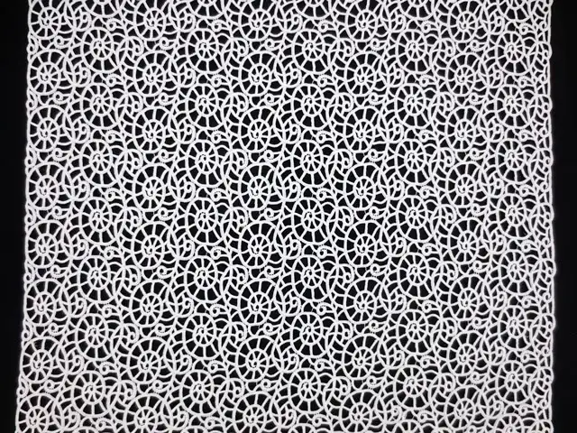 Guipure Lace3