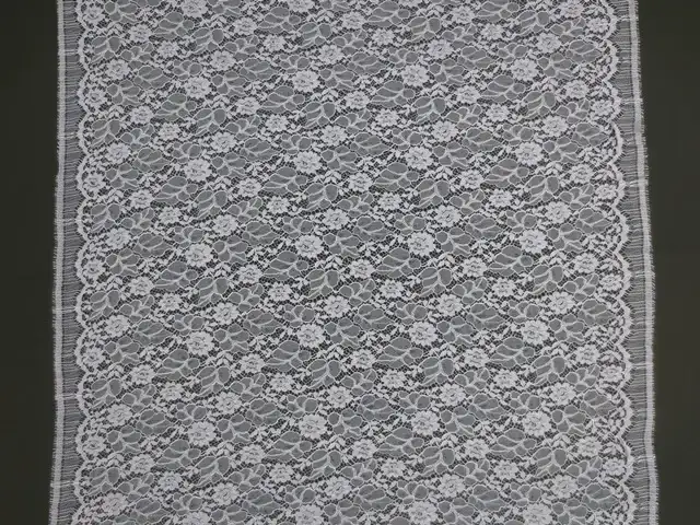 Corded Chantilly Lace4