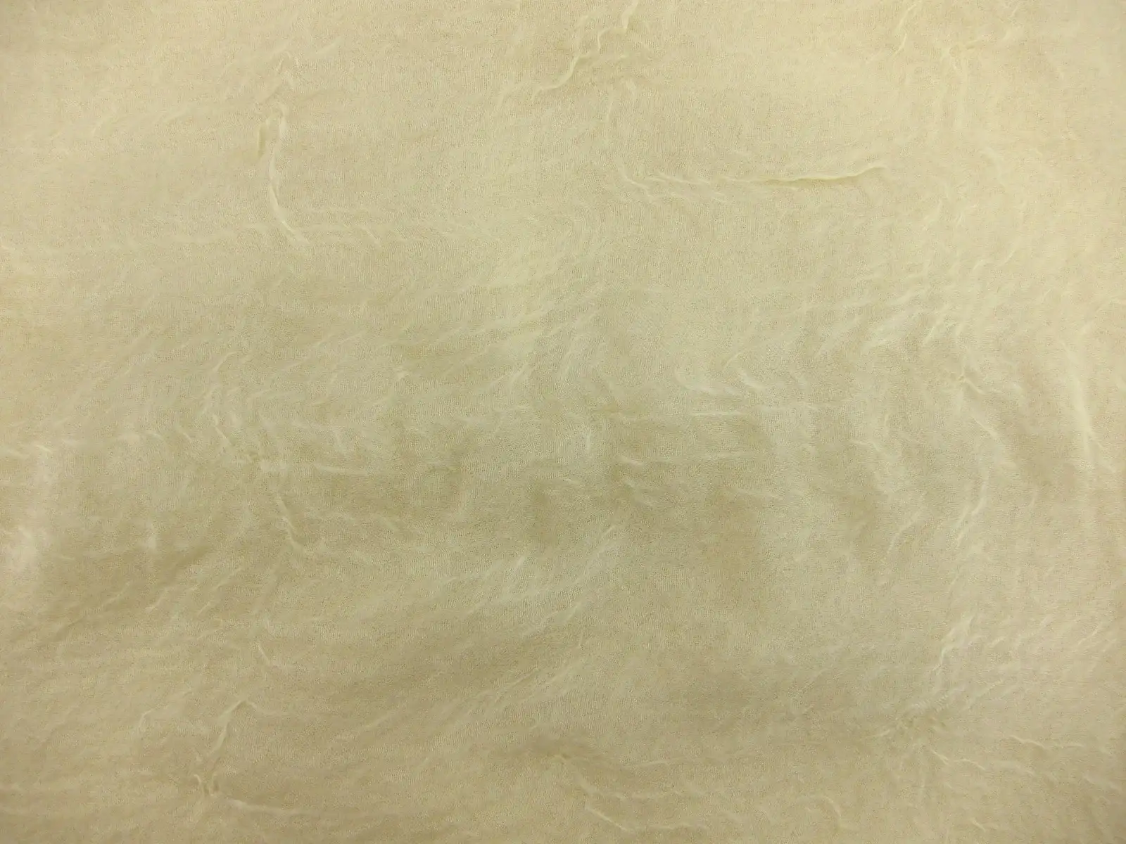 Cotton Broadcloth Print2