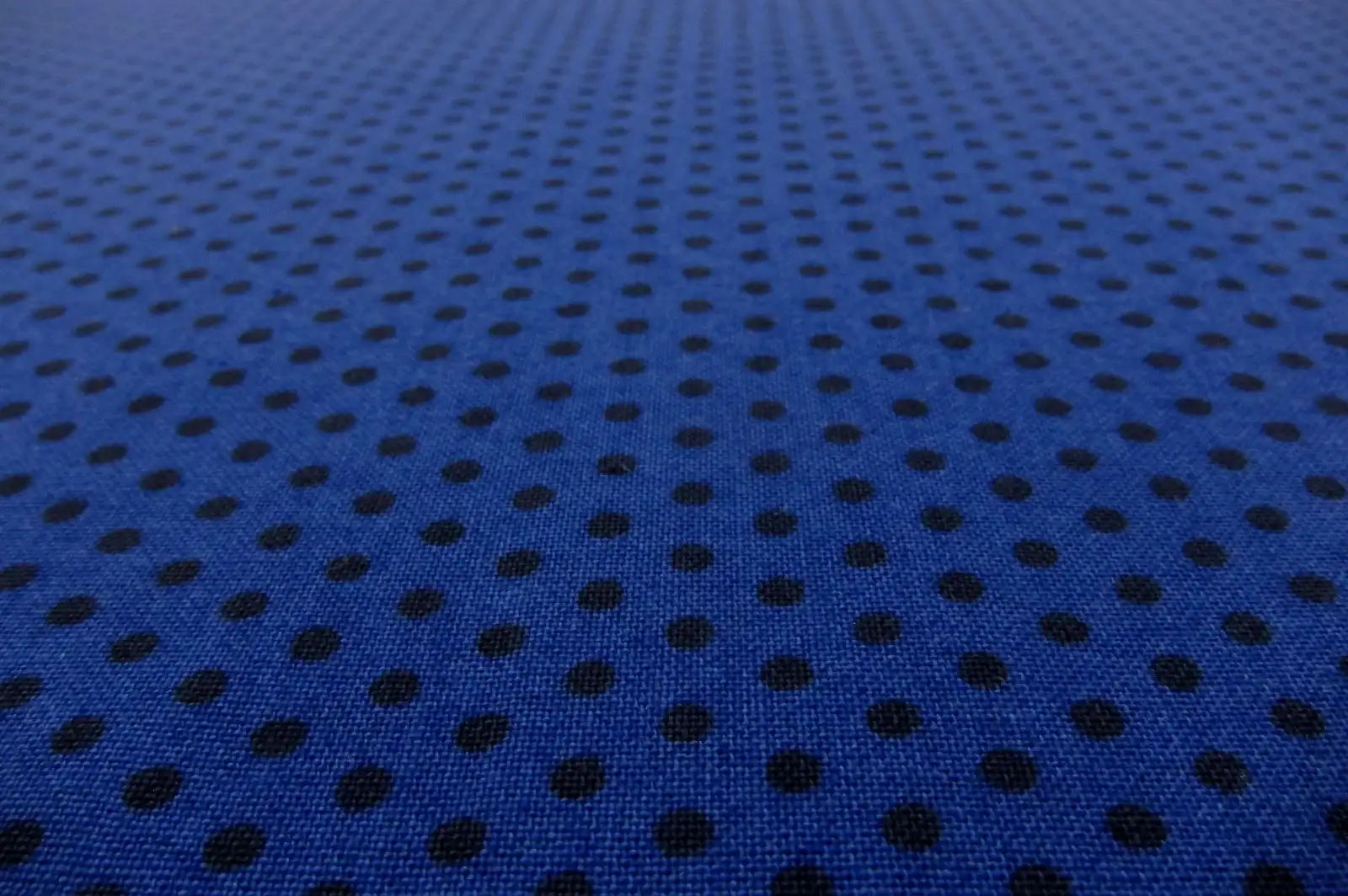 Cotton Broadcloth Print2