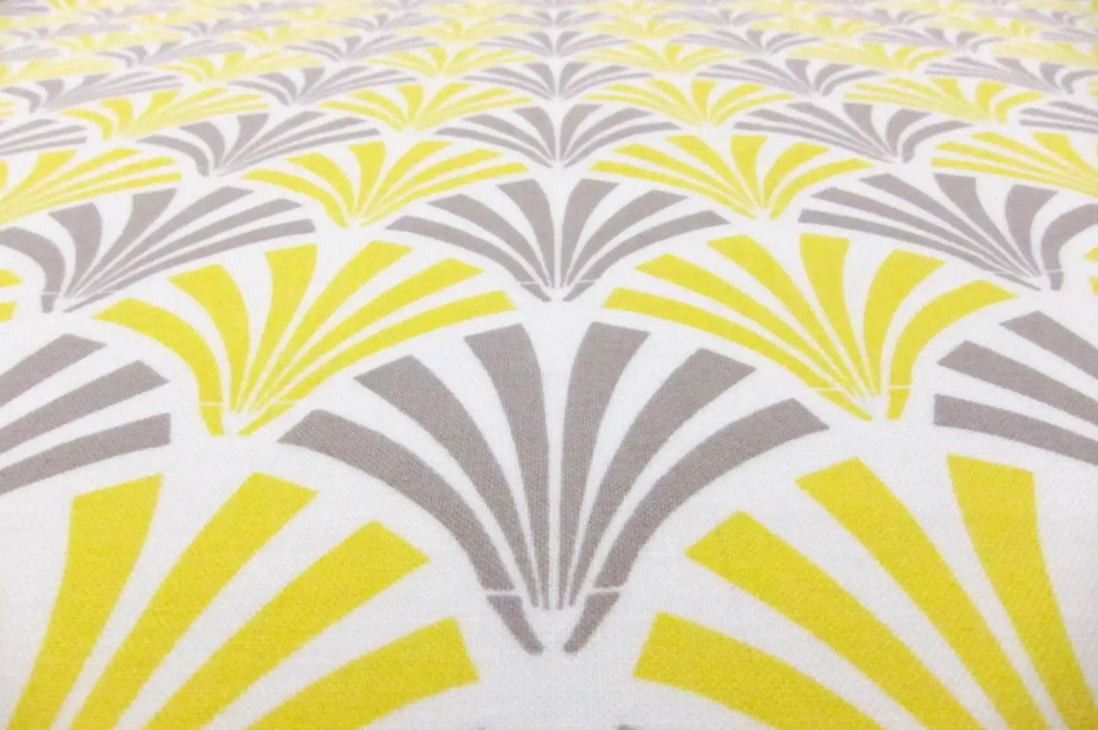 Cotton Broadcloth Print1