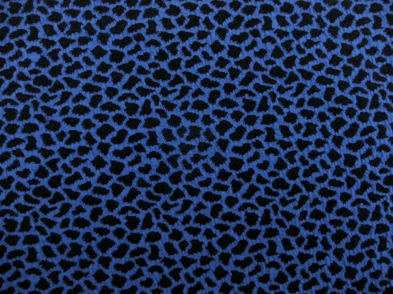 PRINTED COTTON JERSEY