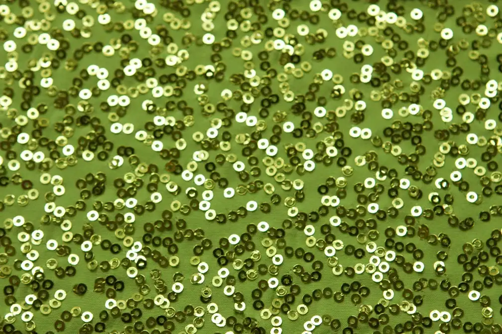 Sequined Jersey2