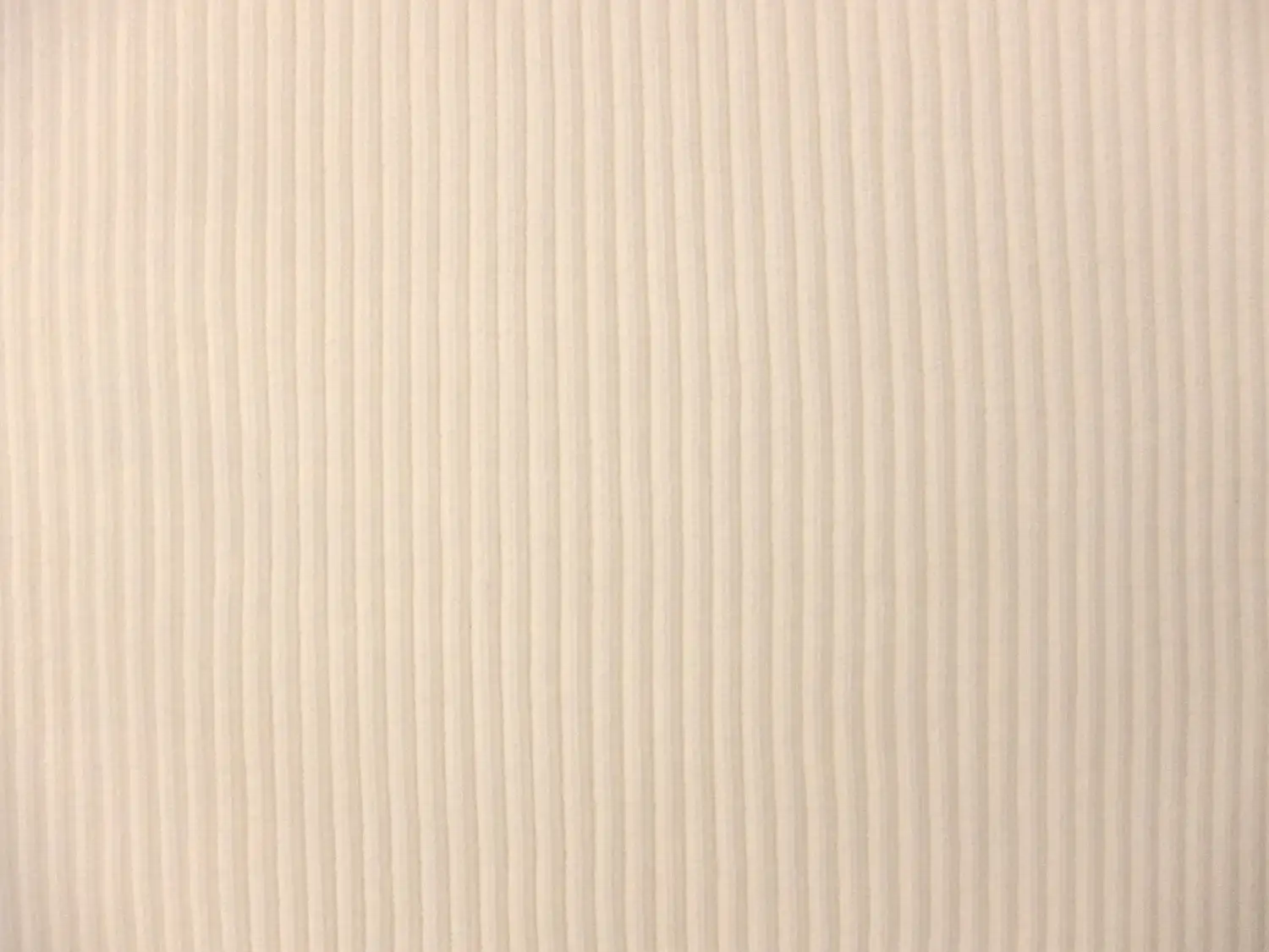 Nylon Rib Knit in Off White1