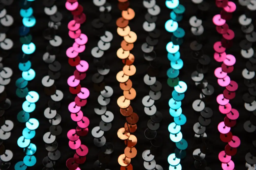 Sequins on Chiffon2