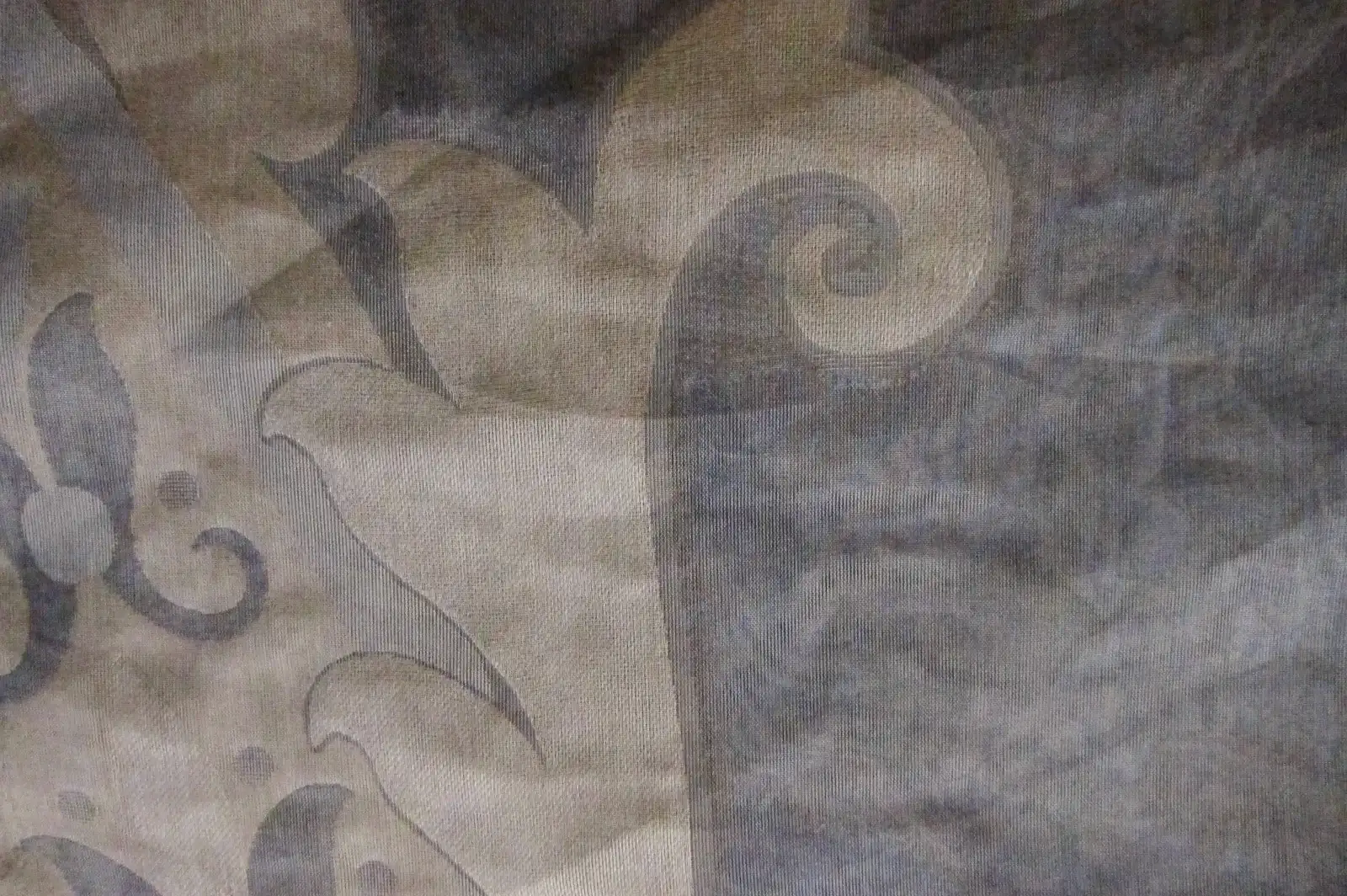 Fil Coupé Silk Organza2