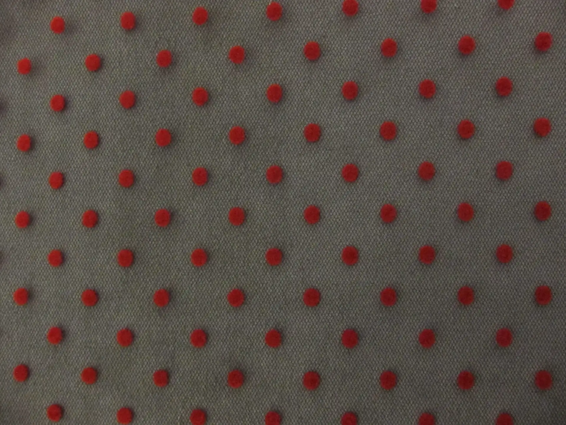 Flocking on Tulle1