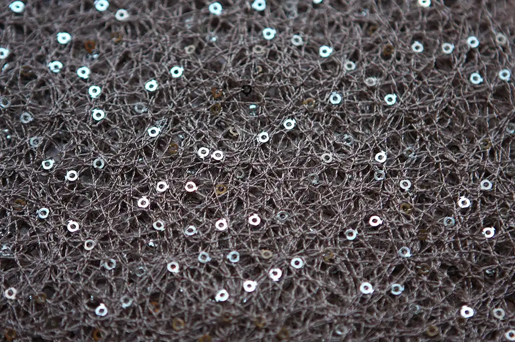 Sequins on Poly Mesh2