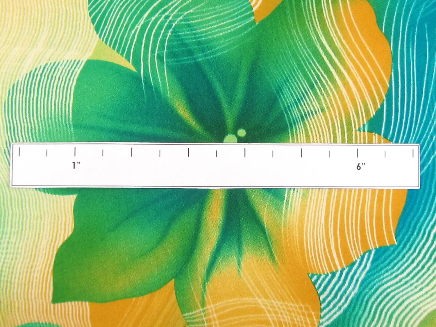 Printed Silk Charmeuse with Swirls and Large Flowers1