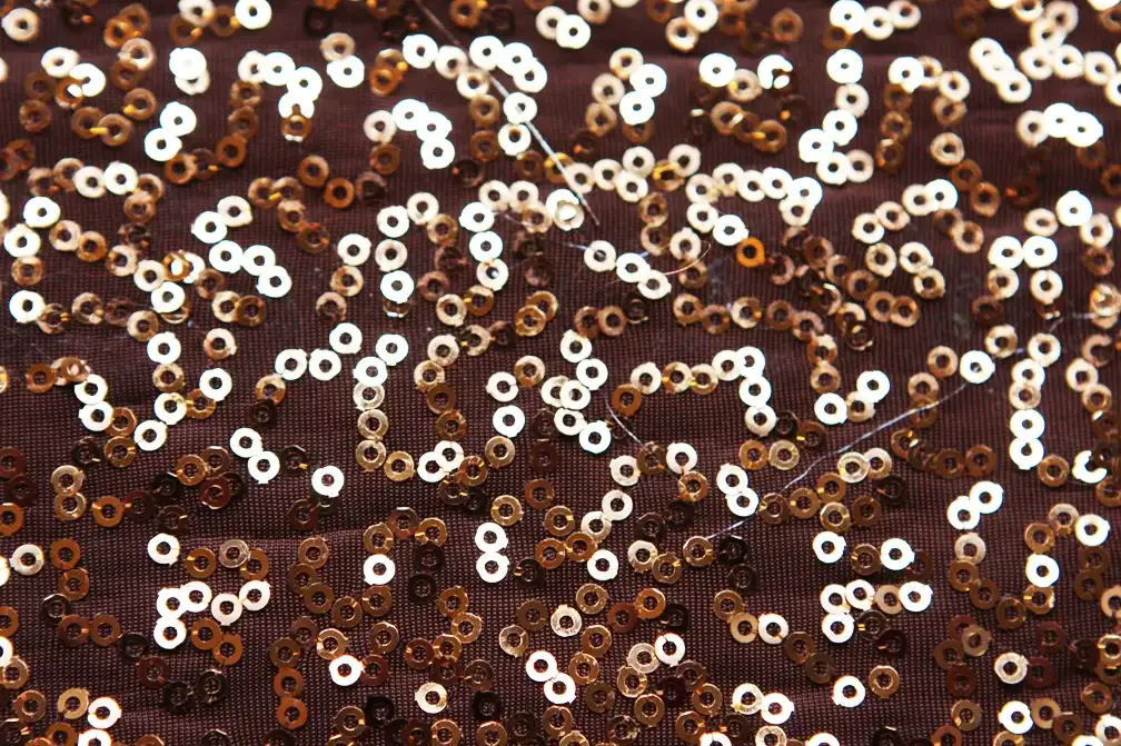 Sequined Jersey2