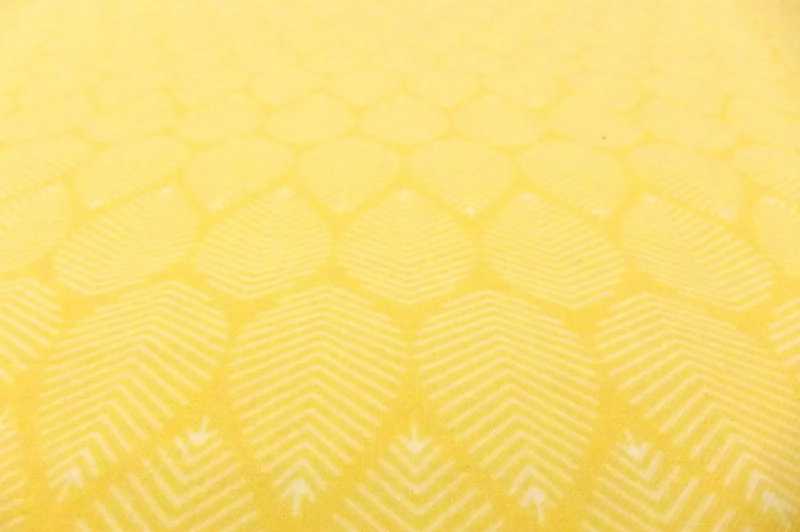 Cotton Broadcloth Print2