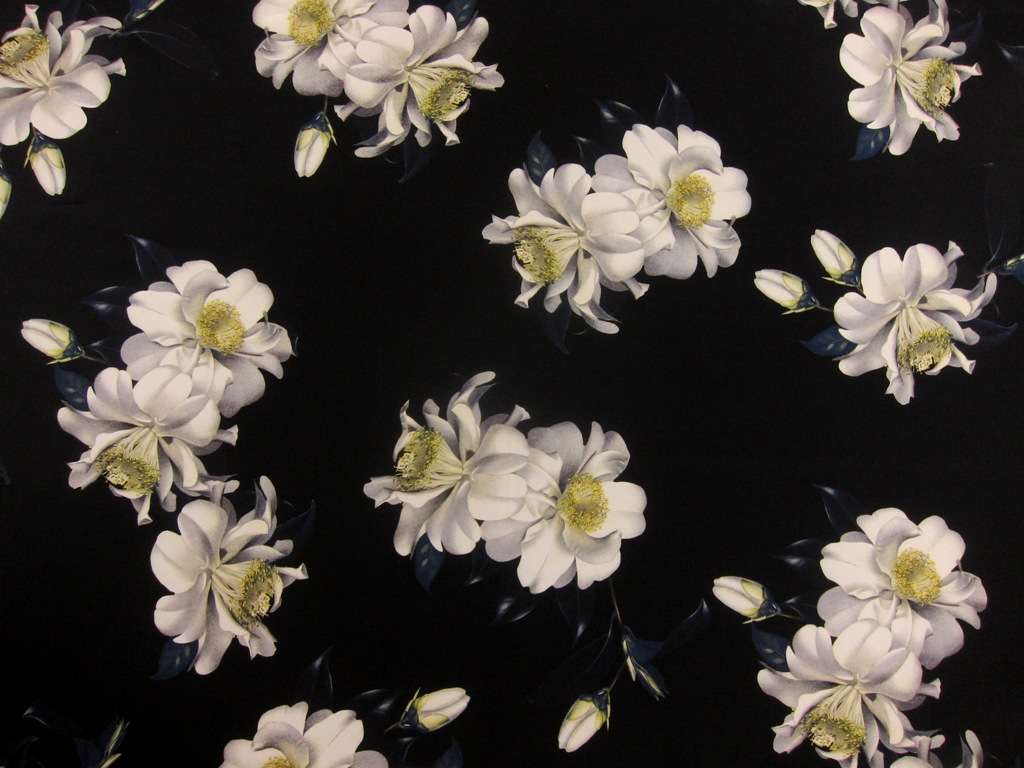 Printed Silk Mikado0