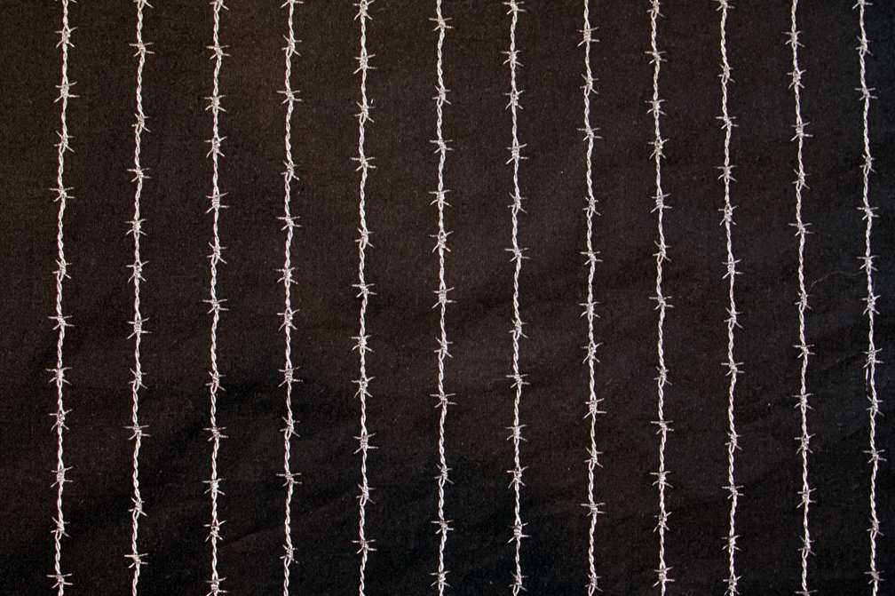 Cotton Print1