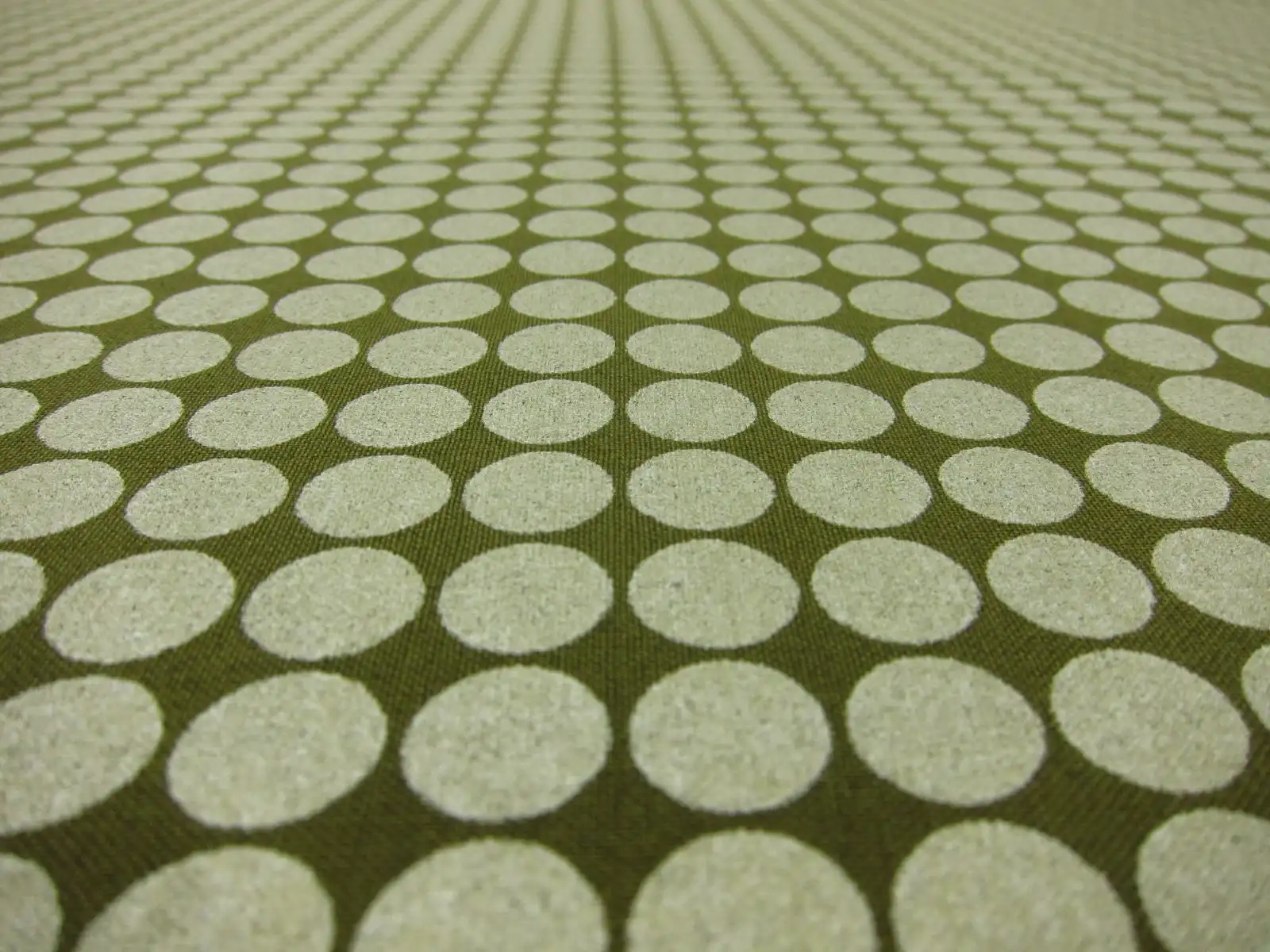 Cotton Broadcloth Print2