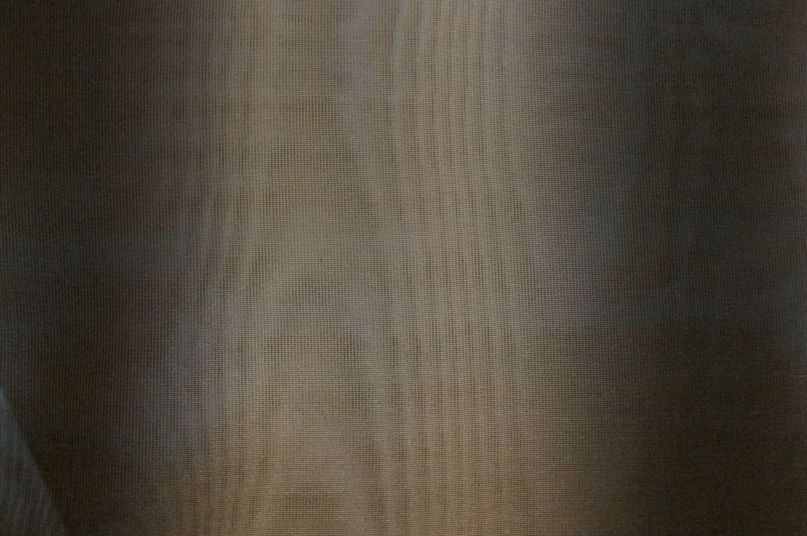 Novelty Blend Organza2