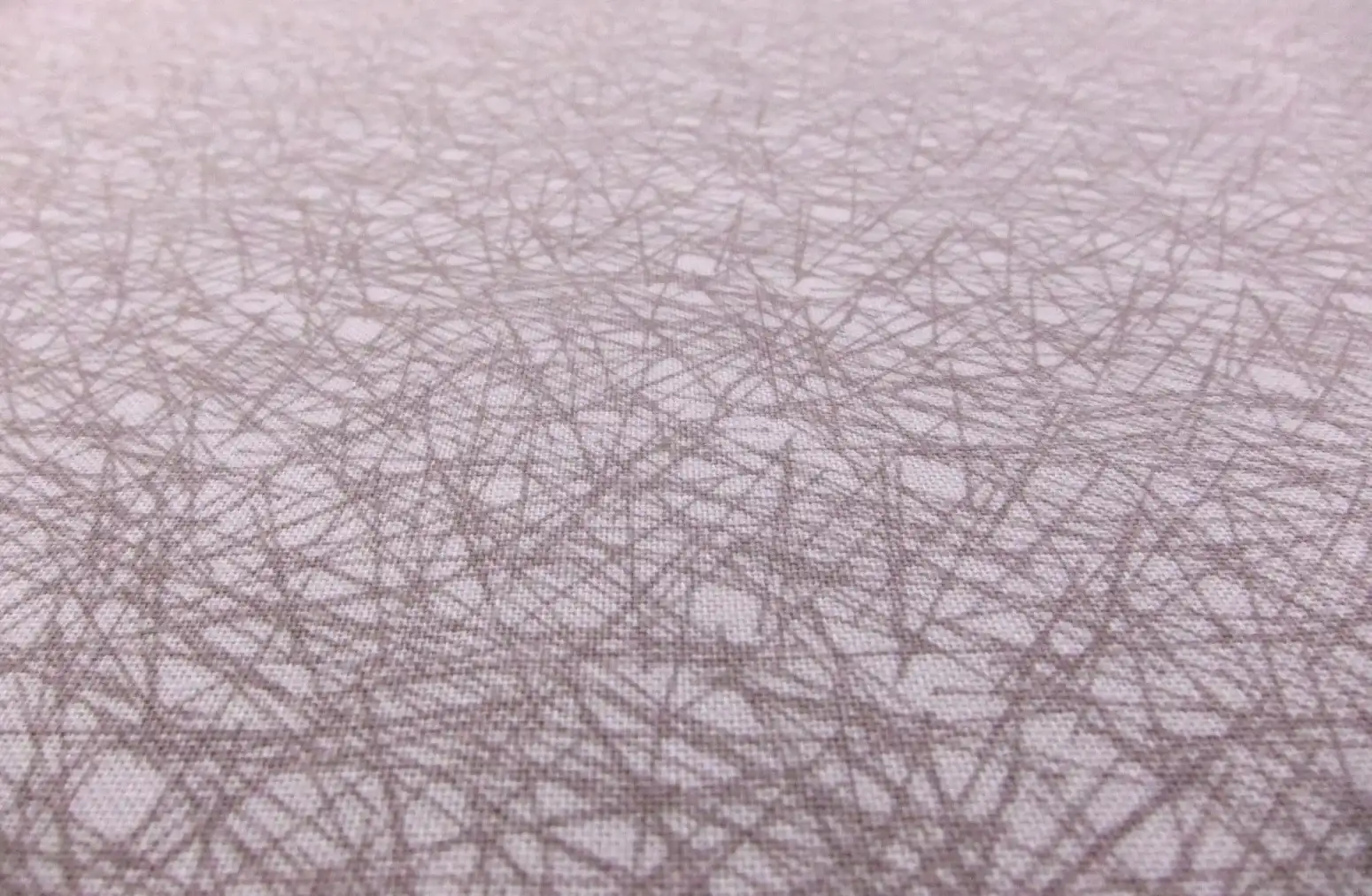 Cotton Broadcloth Print2