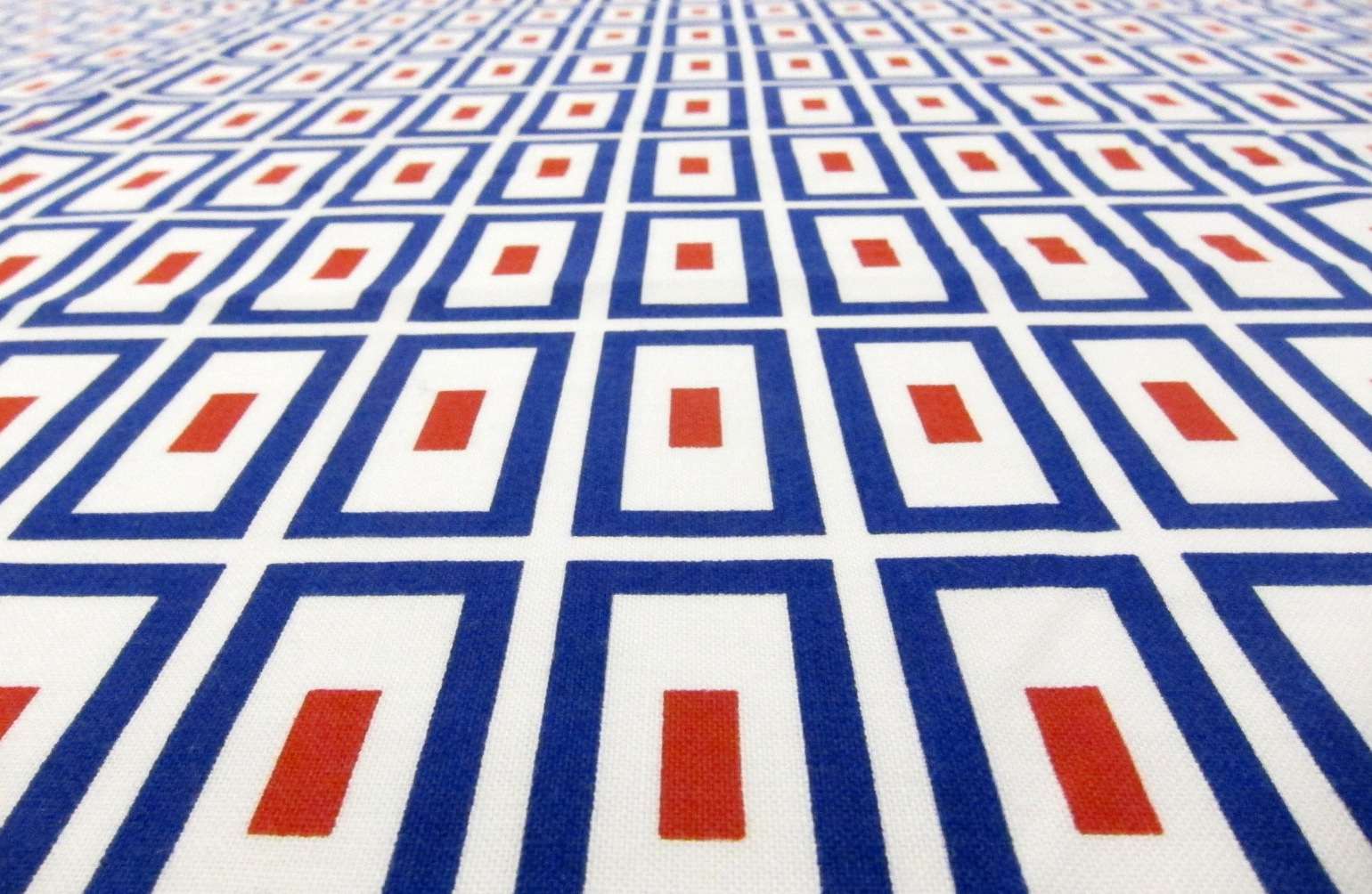 Cotton Broadcloth Print2