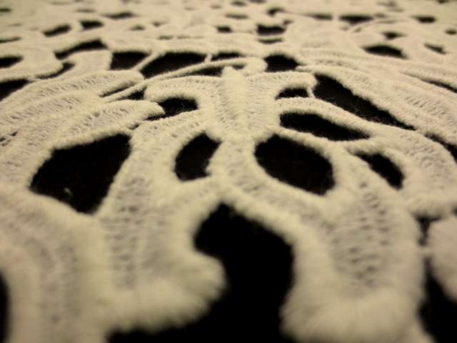 Guipure Lace2