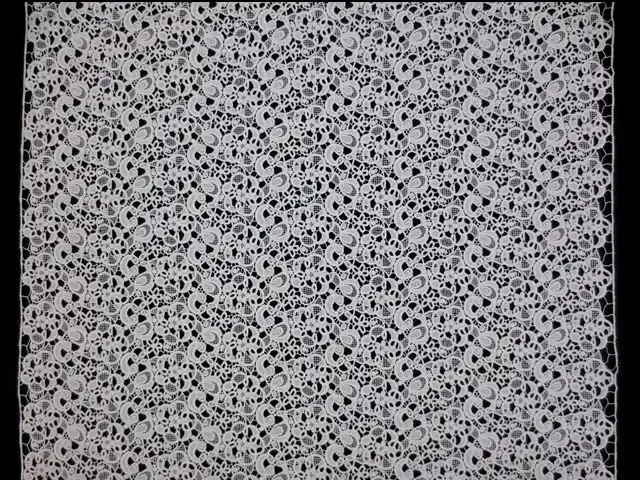 Guipure Lace3