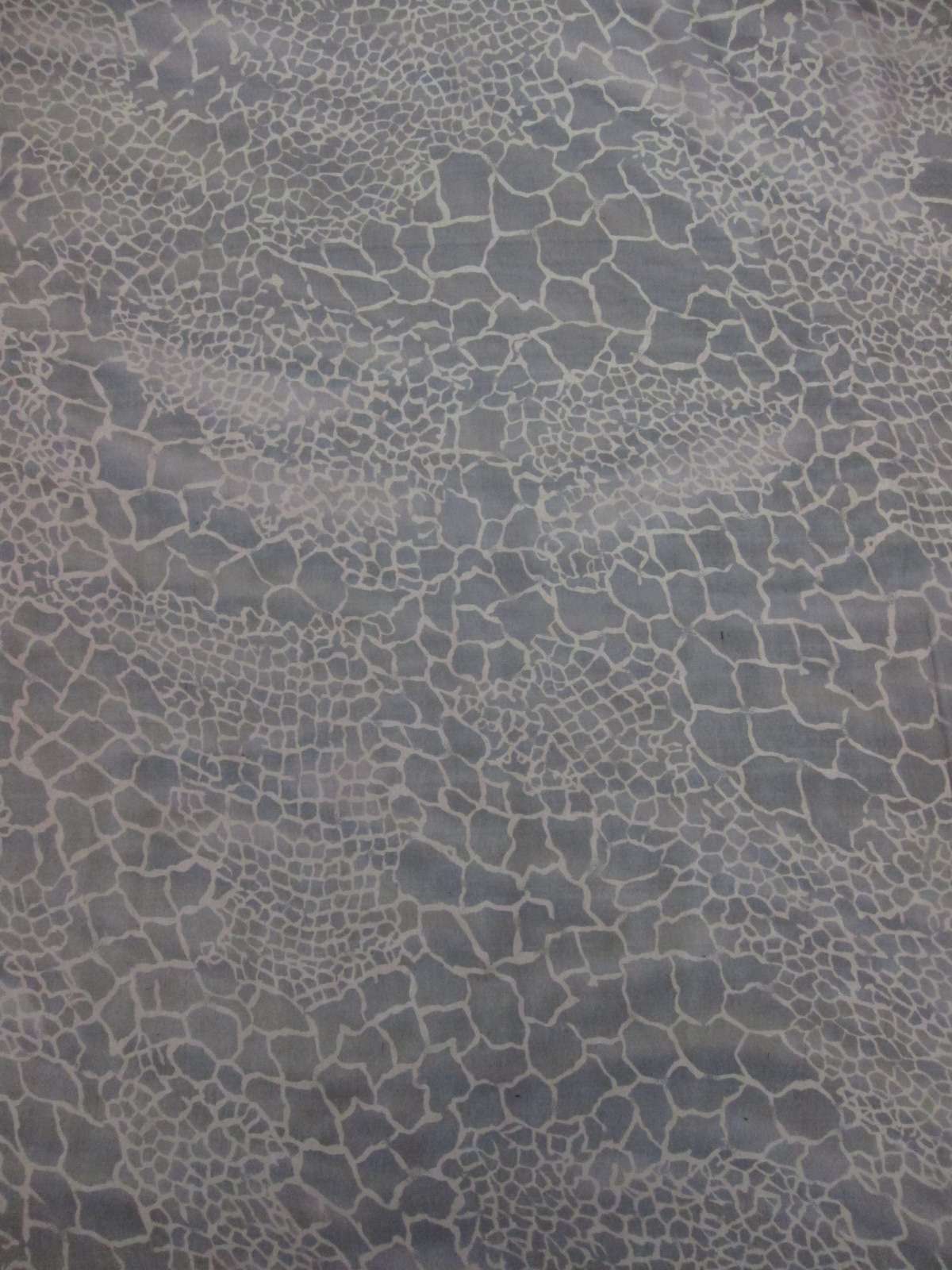 Iridescent Silk Chiffon Print1