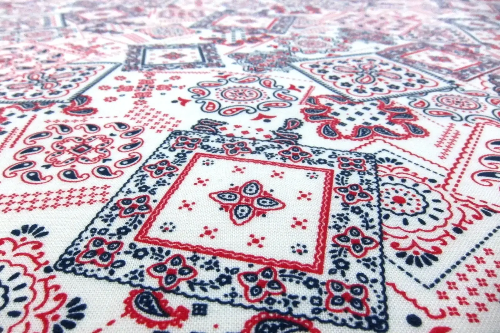 Cotton Broadcloth Print2