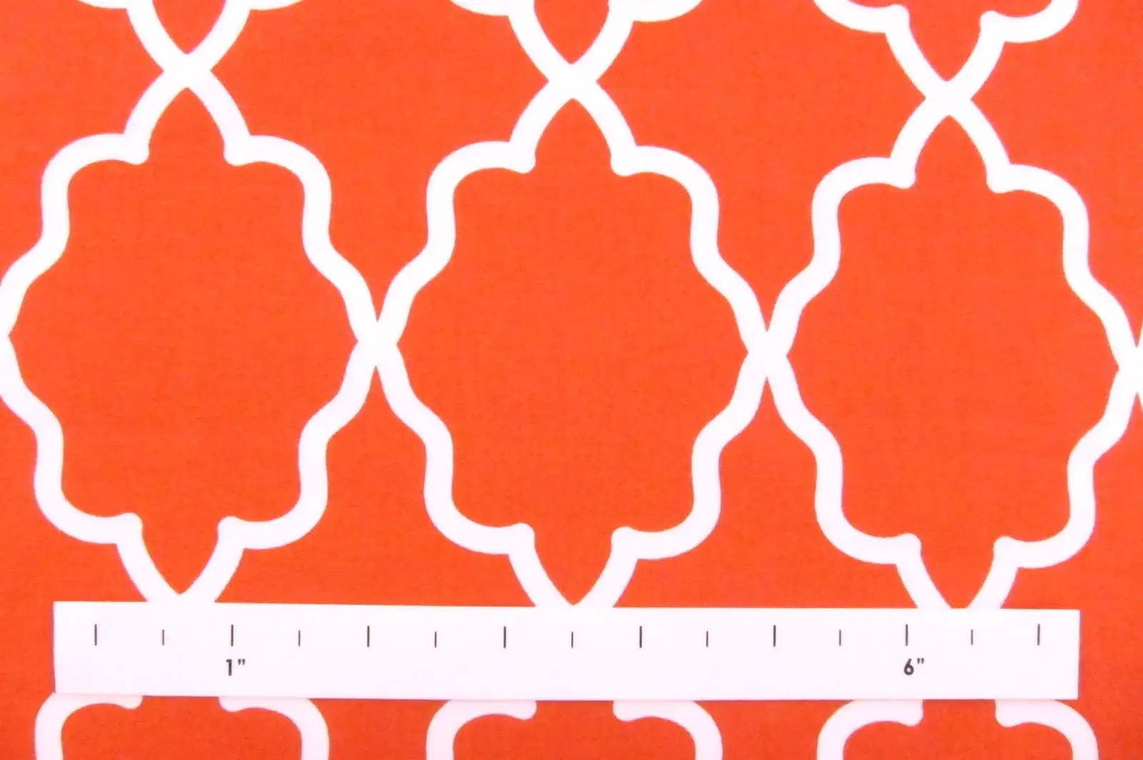 Cotton Broadcloth Print1