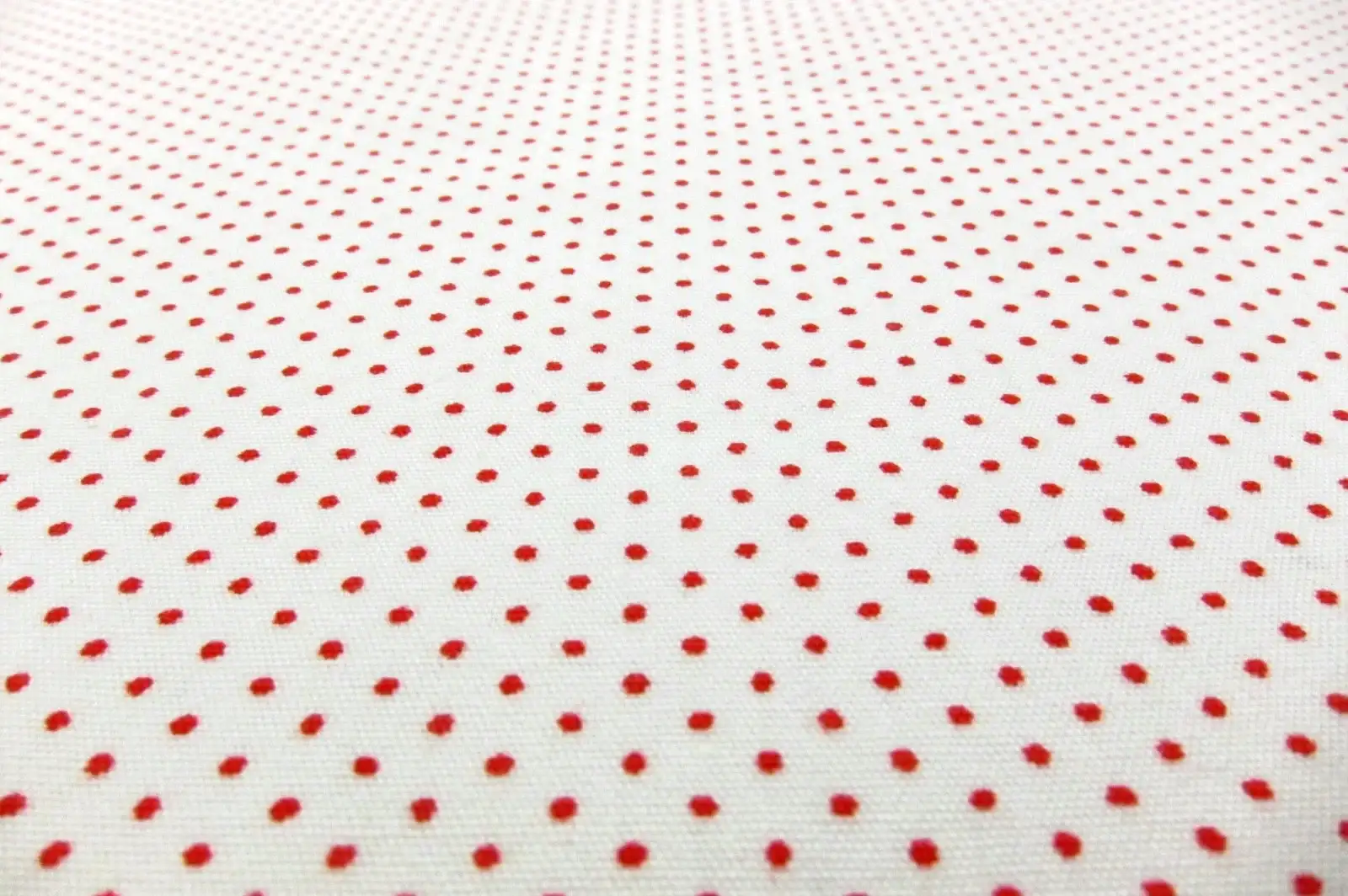 Cotton Broadcloth Print2